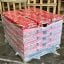 72 Packs Woodlets Briquettes